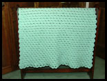 Lots of Shells Baby Afghan