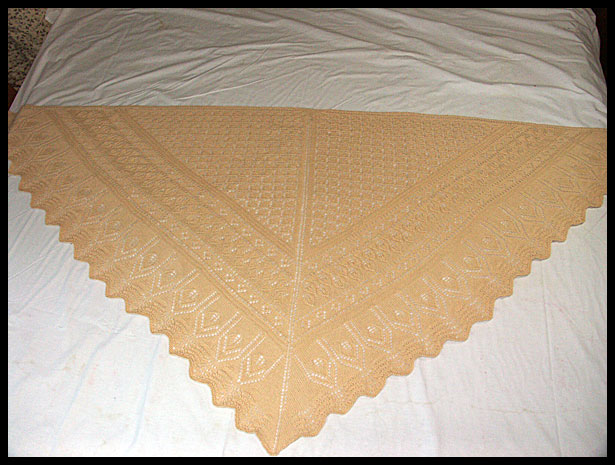 Drops Lace Shawl (click to see more photos and details)