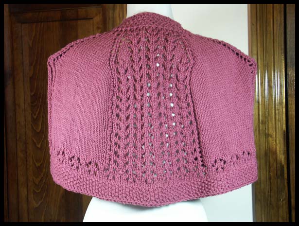 Summer Lace Shawlette Back (click to go back)