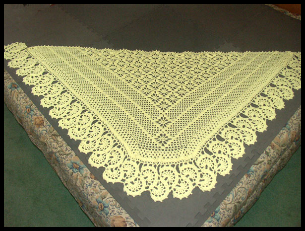 Spiderweb Shawl - Flat (click to go back)